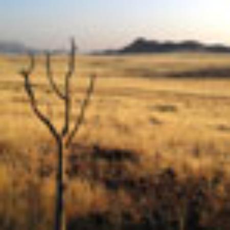 Kawiarnia i cukiernia Eliza